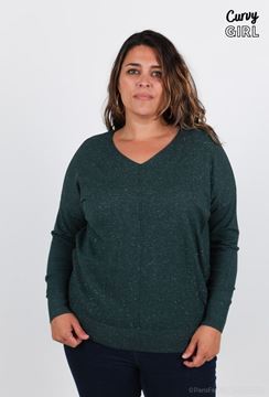 Immagine di PLUS SIZE SEQUINS TOP